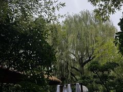-西安国际创新人才交流中心•药浴温泉