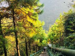 -宁波五龙潭景区