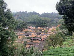 -杨家堂村