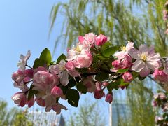 -元大都城垣遗址公园