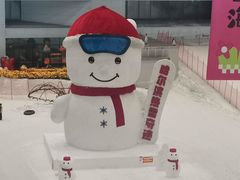-哈尔滨热雪奇迹