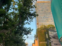 -金虹桥商场