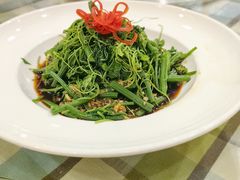 -朝郡酒家·粤菜(燕大星苑店)