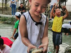 -洪湖家庭农场·团建·露营·会议