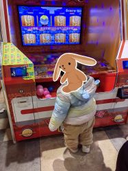 -卡通尼·Safari非洲探索乐园·生日会(金桥国际商业广场店)