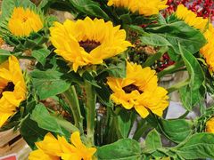 -AEON永旺(东方宝泰店)