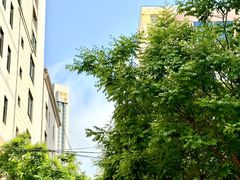 -吴大师呱呱面皮(育生巷店)