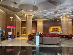 -南京禄口机场雅高铂尔曼大酒店