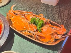 -牛New寿喜烧(金鹰世界店)