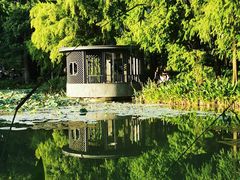 -四海公园(南山区)