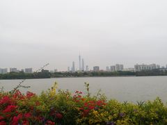 -海珠湖公园