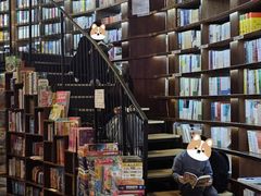 -三联韬奋书店(三里屯店)