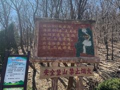 -金龙寺国家森林公园
