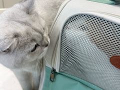 -关爱宠物医院·猫科中心·消化科(滨湖万达分院)