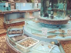 巨鼎酒店(巨鼎生态园酒店)-老山东·山东菜(鲁菜名店)