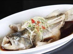 清蒸鲈鱼-利杨记·本味轩粥坊·烧烤(宝体店)