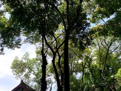 -成都市文殊院