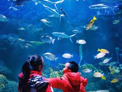 -华夏文旅海洋公园