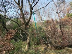 -虞山城墙