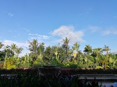 -西双版纳融创皇冠假日度假酒店