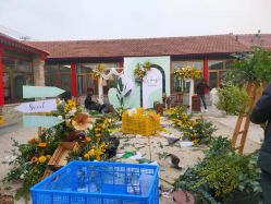 -Sunny喜铺婚礼策划(东部店)