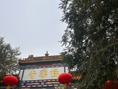 -哈尔滨极乐寺