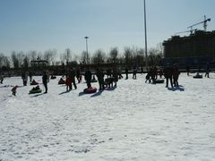 -武清南湖绿博园