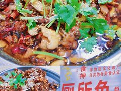 -食神又名厕所兔