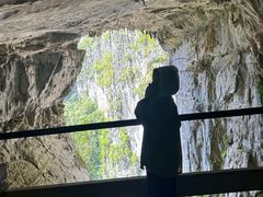 -百色大石围天坑群