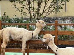 -华谊兄弟（长沙）电影小镇