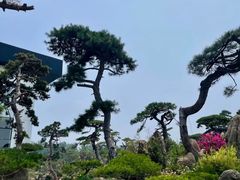 -罗红摄影艺术馆