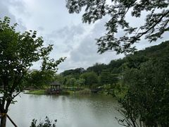 -王借岗森林公园