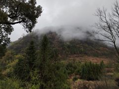 -石台牯牛降景区