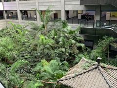 -黑龙江中医药大学附属第一医院