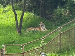-沈阳森林动物园