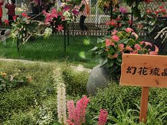 -上海鲜花港