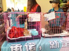 -王府井奥莱临潼小镇(临潼店)