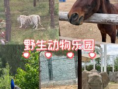 -太原动物园