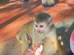 -荆州中山公园动物园