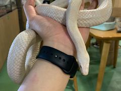 -藦茜花园宠物主题亲子互动体验馆(国顺东路店)