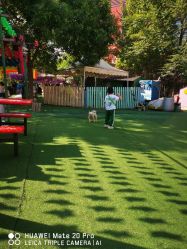 点击看大图 -萌宠亲子动物乐园(槐房万达店)