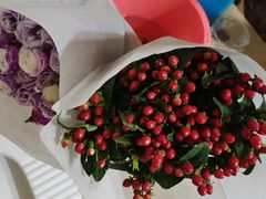 -循礼门鲜花花市(武汉循礼门店)