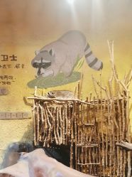 -奇幻萌宠部落(映月湖环宇城店)