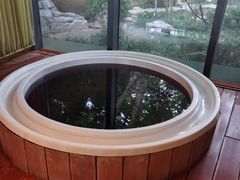 -春晖园度假酒店温泉