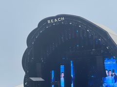 -碧海金沙