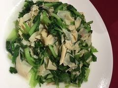鸡毛菜百叶丝-老吉士酒家(天平路店)