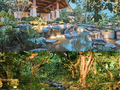 -中国科学院西双版纳热带植物园