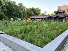 -证大喜玛拉雅中心