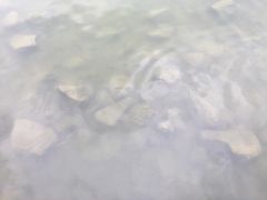 -南翔镇银翔湖公园
