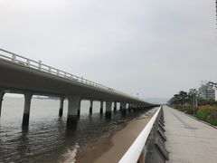 -演武大桥观景平台